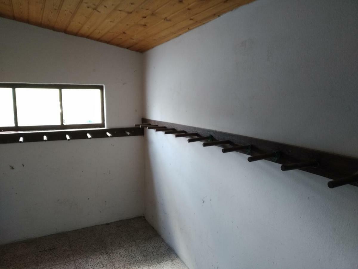 Apartmany Pohoraly Rokytnice nad Jizerou Exterior foto
